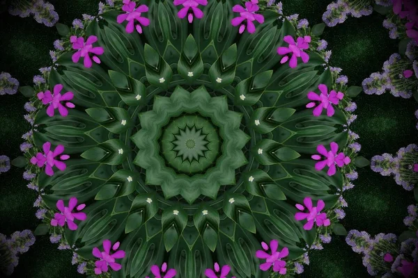 アブストラクト緑紫色の背景曼荼羅花文の掌紋葉と万華鏡効果のある蘭の花 — ストック写真