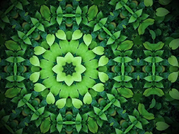 Fundo Verde Abstrato Folhas Verdes Forma Coração Com Efeito Caleidoscópio — Fotografia de Stock