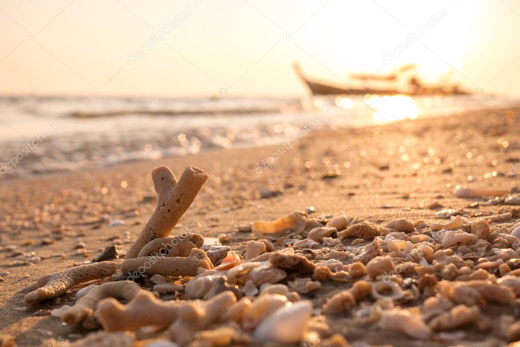 Coral fragments and sea debris on golden beach morning sunlight with sparkle sand and sea bokeh and silhouette fishing boat blurred background.