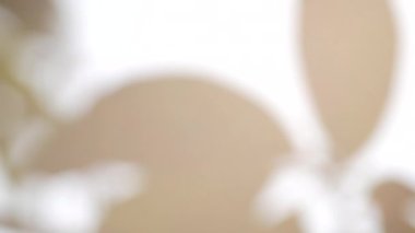 Bulanık yapraklardaki soyut ışık sızıntıları doğanın arka planını gölgeliyor.