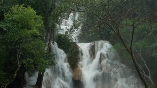 Tropical Rainforest Waterfalls Rain Monsoon Season Nature Background High Humidity — Stock Video