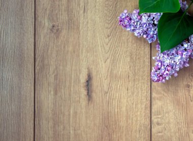 Güzel ahşap masadaki leylak dalı. Kavram. Güzel arkaplan, kopyalama alanı.