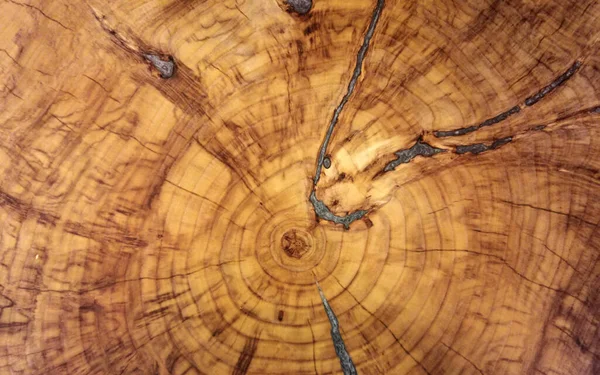 직물은 나무를 베었다 아름다운 이미지 — 스톡 사진