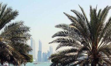 Abudabi, Birleşik Arap Emirlikleri. Güzel şehir manzarası. Palmiye ağacı.
