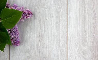 Güzel ahşap masadaki leylak dalı. Kavram. Güzel arkaplan, kopyalama alanı.