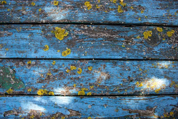 Fundo Madeira Miserável Velhas Tábuas Madeira Azul Imagem Conceito — Fotografia de Stock