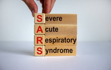 Kavramsal sözcükler: 