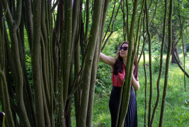 Ağaç gövdesinin arkasında güneş gözlüklü genç kız. Pembe bluz ve siyah etek giymiş bir kız elleri ağaç gövdesinde duruyor..