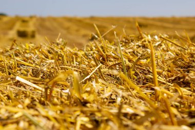 Hasat tarlası, fotovoltaik panel ve mavi gökyüzü olan saman rulo balya. Enregy, yemek..