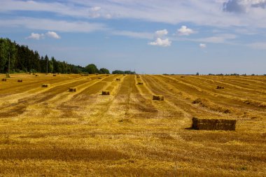 Hasat tarlası, fotovoltaik panel ve mavi gökyüzü olan saman rulo balya. Enregy, yemek..