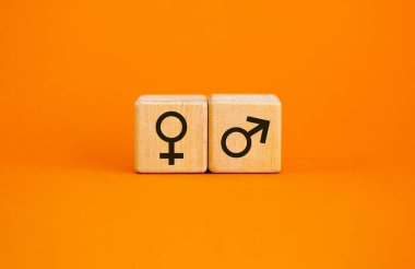 Cinsiyet eşitliği kavramı. Erkek olan tahta küpleri güzel turuncu arka planda dişi sembolüne eşittir. Boşluğu kopyala.