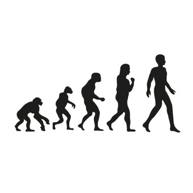 İnsanın Darwin evrimi