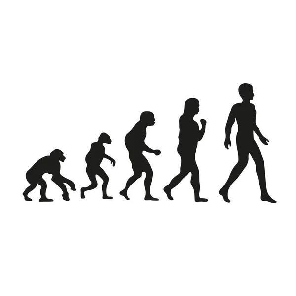 Darwin Evolution Human — Stock Vector