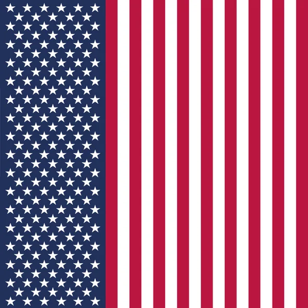 Originelle Und Einfache Flagge Der Vereinigten Staaten Von Amerika Isolierter — Stockvektor