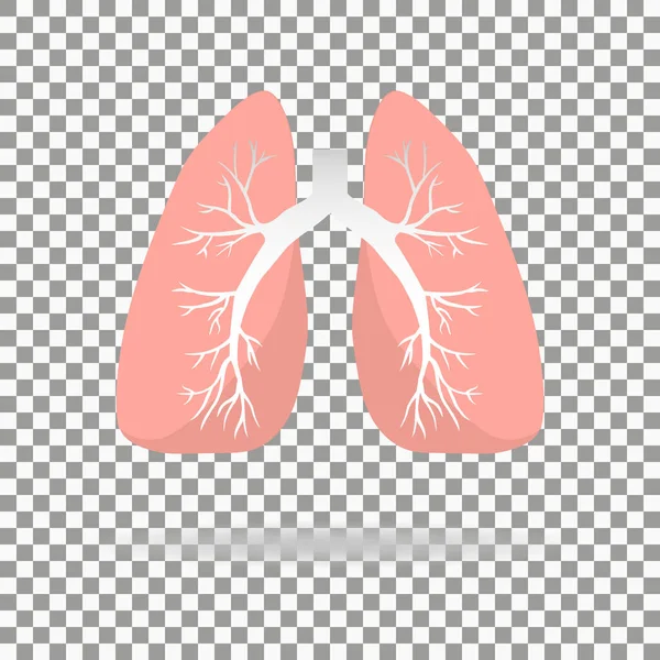 肺のアイコン フラットスタイル 人間のデザイン要素 ロゴの内部器官 解剖学医学の概念 ヘルスケア 白い背景に隔離されている ベクターイラスト — ストックベクタ
