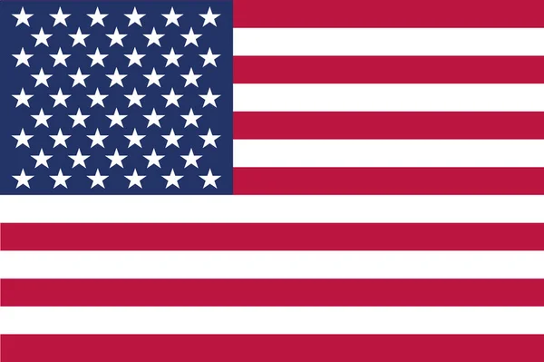 Vektorbild Der Amerikanischen Flagge — Stockvektor