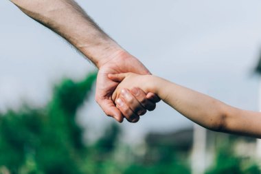 Babasının eli, yaz mevsiminde çocuğuna dışarıda liderlik eder. Aile kavramına güvenir. Babalar Günü konsepti.