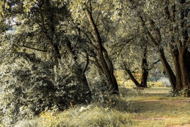 Yaz manzarası sisli Dağlarda sabah ve kıyı boyunca demiryolu