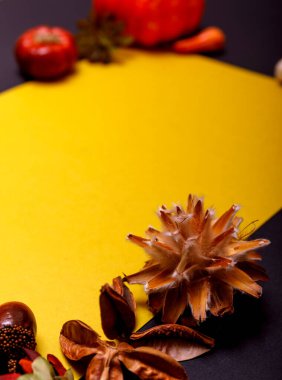 Yaratıcı düz sonbahar sarı yaprakları ve çiçekleri siyah arka planda sarı boş bir boşlukla uzanır. Mevsimlik sonbahar sınırı, konsept.