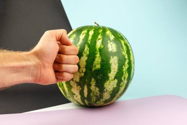 Elleri doğal renklerde karpuz. Pastel arka planda tam karpuz. Vejetaryen için sağlıklı yemek. Metin için alanı kopyala