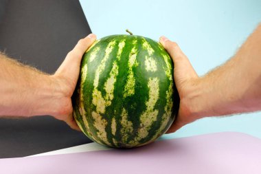 Elleri doğal renklerde karpuz. Pastel arka planda tam karpuz. Vejetaryen için sağlıklı yemek. Metin için alanı kopyala