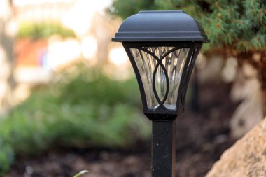 Peyzaj tasarımı, bir kaya elementi. Taş, bahçe lambası ve bitkilerden oluşan güzel bir bileşim.