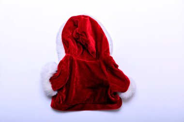 Köpek beyaz arka planda kırmızı ve beyaz Noel Baba kostümü giyiyor..