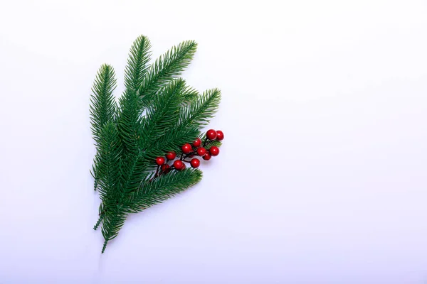 冬青浆果和枝条在白色背景下隔离的圣诞装饰 — 图库照片