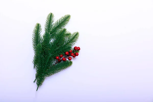 Kerst Decoratie Van Hulst Bes Tak Geïsoleerd Witte Achtergrond — Stockfoto