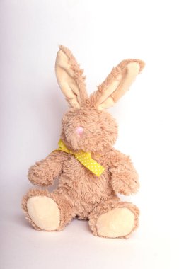 Beyaz arka planda izole edilmiş tavşan peluş bebeği. Doldurulmuş tavşan, beyaz arka planda sevimli kahverengi tavşan..