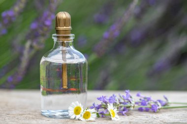 Yağ özü şişesi ve lavanta çiçekleri kırsal ahşap arka planda.