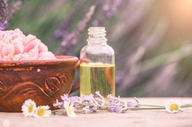 Şifalı çiçekler ve şifalı bitkiler üzerine gerekli yağ şişeleri, seçici odaklanma, sığ. Temel yağlar ve tıbbi bitkiler..