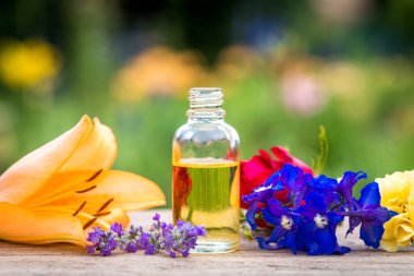 Çeşitli ilaç çiçekleri, ahşap yüzey, bulanık doğa aromalı bitkisel aroma yağı şişesi. Yumuşak odaklanma. Tamamen doğal güzellik bakımı..