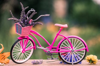 Sepetinde çiçekler olan eski bir bisiklet. Bahar bahçesindeki yeşil çimenli parkta antika bir bisiklet. Doğa renklerle ve kokularla dolu. Romantik randevu.