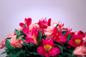 Картина, постер, плакат, фотообои "stylish bridal bouqet of tender white and pink sakura flowers. stylish bouqet of tender flowers.", артикул 391876394