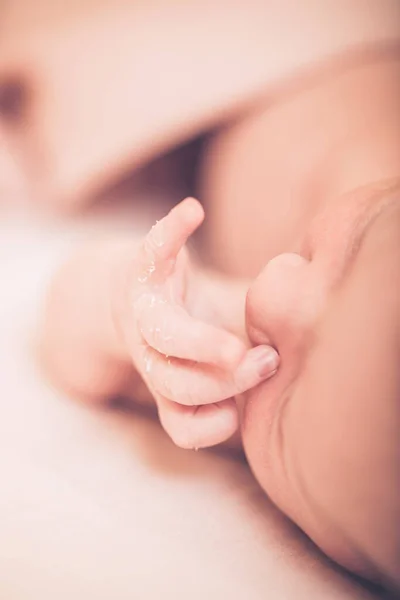 Bebê Adorável Dormindo Estômago Pequena Mão Bebê Recém Nascido Adormecido — Fotografia de Stock
