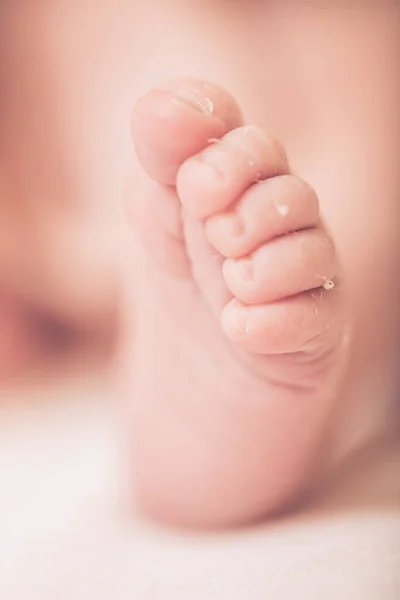 Cute Newborn Baby Legs Light Blanket Sleeping Baby Light Background — Stock Photo, Image