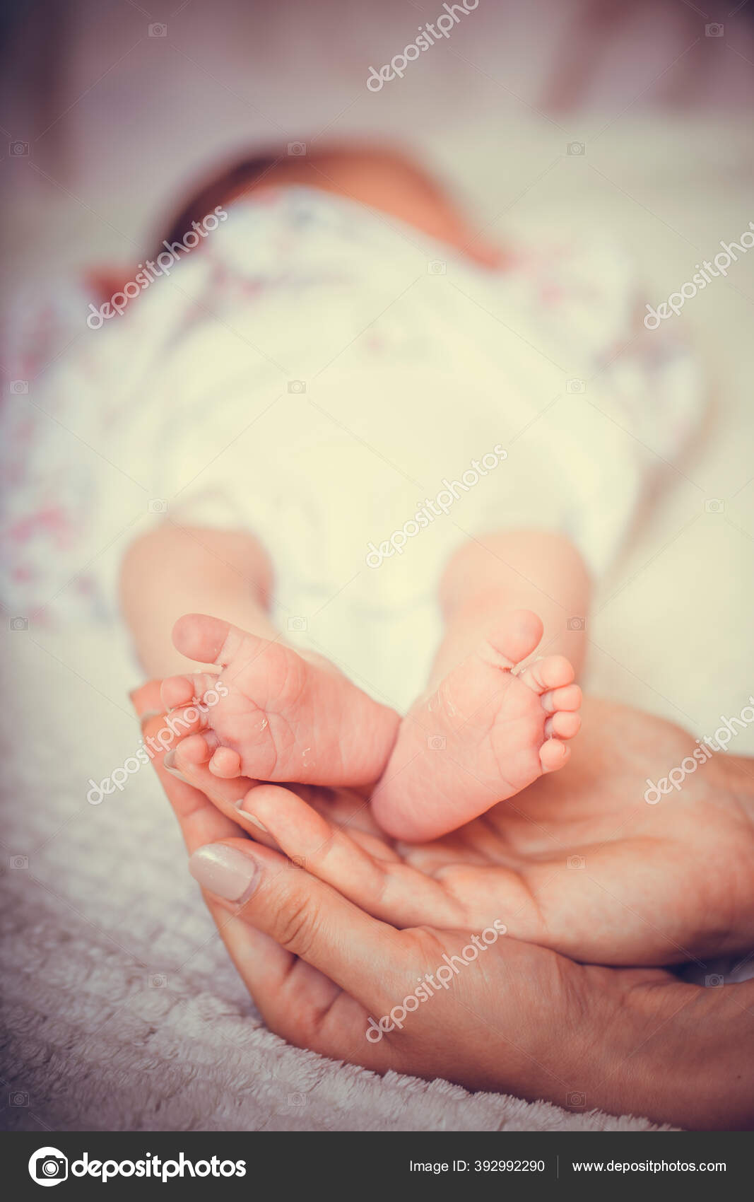 Los Pies Bebe Recien Nacido Manos Los Padres Feliz Familia Fotografia De Stock C Boskorelly Depositphotos Los Pies Bebe Recien Nacido Manos Los Padres Feliz Familia Fotografia De Stock C Boskorelly Depositphotos