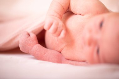 Yeni doğmuş küçük çocuk. Yüzeyin derinliği. Beyaz battaniyeye sarılı uyuyan yeni doğmuş bebek. Küçük bir kızın güzel portresi. 7 gün, 1 haftalık. Resmi kapat.