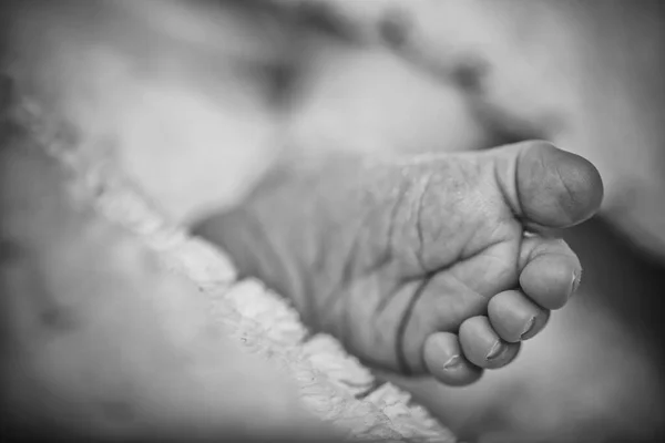 Newborn baby on a white blanket, tiny baby feet closeup. Bare feet of a cute newborn baby in warm white blanket. Childhood. Small bare feet of a little baby girl or boy. Sleeping child.