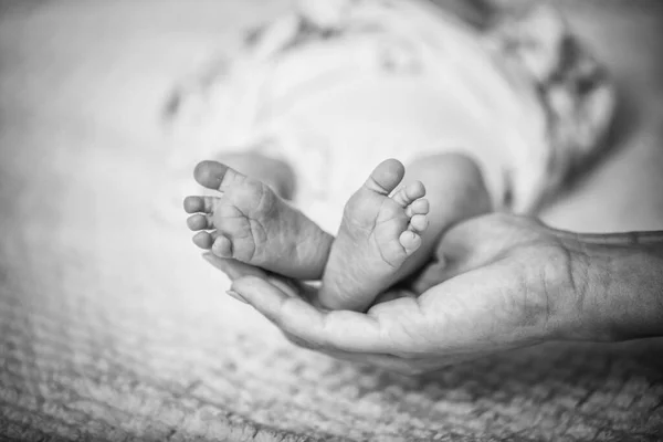 Perna Recém Nascido Mãos Cuidado Mãe — Fotografia de Stock