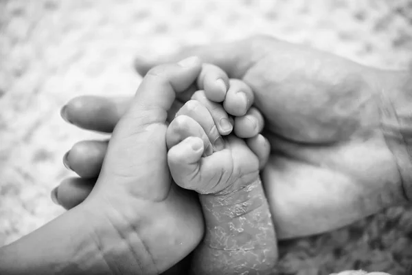 Mão Criança Recém Nascida Fechar Mão Bebê Nas Mãos Dos — Fotografia de Stock