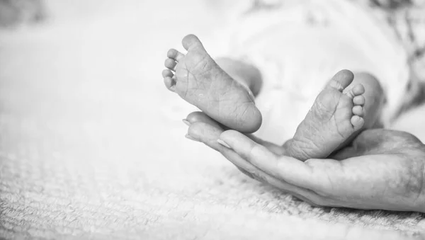 Pés Bebê Recém Nascido Nas Mãos Dos Pais Feliz Conceito — Fotografia de Stock