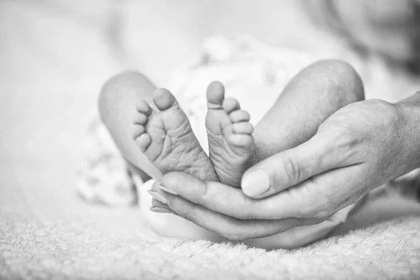 Pés Recém Nascidos Bebê Doce Uma Luz Matinal Suave Cama — Fotografia de Stock