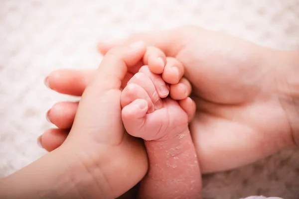 Mão Criança Recém Nascida Fechar Mão Bebê Nas Mãos Dos — Fotografia de Stock