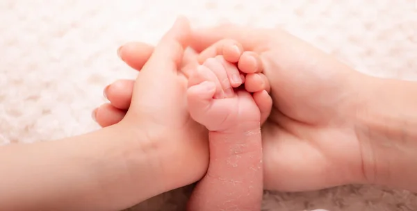 Yumuşak Bebek Elleri Yeni Doğmuş Bebek Eli Annesinin Kız Kardeşinin — Stok fotoğraf