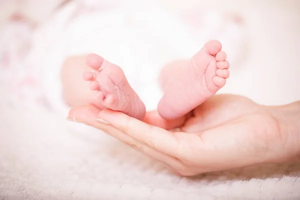 Pies Bebé Manos Madre Los Pies Del Bebé Recién Nacido —  Fotos de Stock