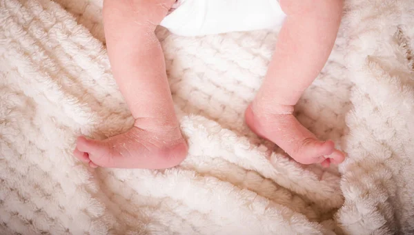 Par Pés Recém Nascidos Cobertor Branco Macio Pés Bebê Recém — Fotografia de Stock