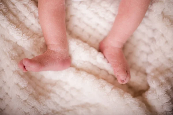 Par Pés Recém Nascidos Cobertor Branco Macio Pés Bebê Recém — Fotografia de Stock
