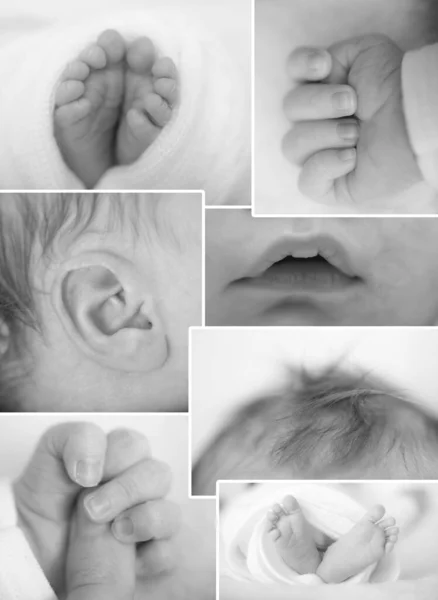 Feche Colagem Mãos Pés Bebê Mãe Segurando Bebê Pés Bebé — Fotografia de Stock